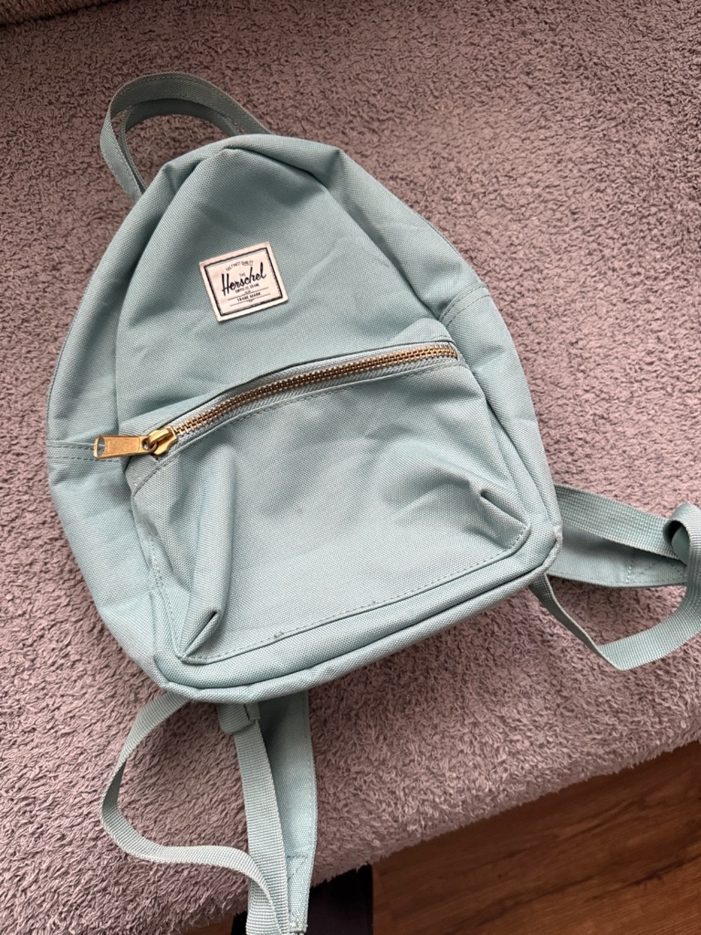Herschel Supply Company Mint Green Mini Backpack with Gold Zipper